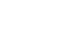 Nokian Tyre Logo Reversed